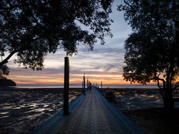 Empty footpath amidst trees against sky during sunset