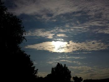 Low angle view of silhouette trees against sky