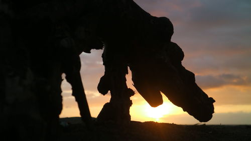 Close-up of silhouette leaves against sky during sunset