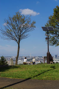 Tree on bench in field against sky in city