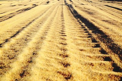 Close-up of tire tracks on sand
