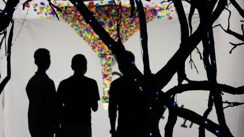 Low angle view of colorful silhouette branches