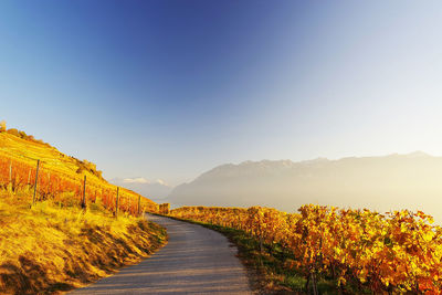 Road amidst landscape against clear sky