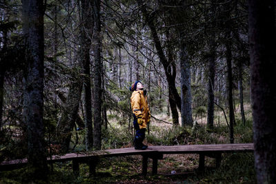 Rear view of man standing by trees in forest