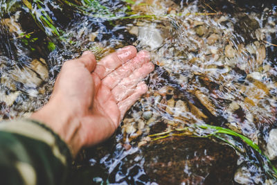 High angle view of hand on rock