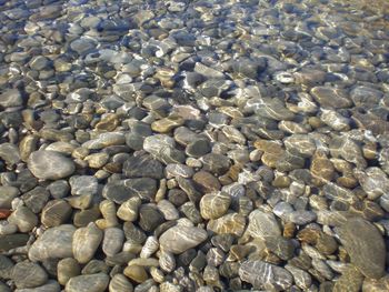 Full frame shot of pebbles in water