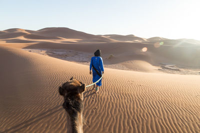 Rear view of man with camel walking on sand against clear sky