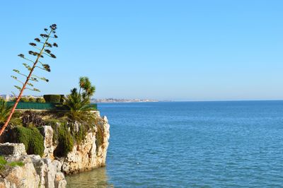 Scenic view of sea against clear blue sky