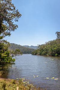 Scenic view of lake in forest against clear sky