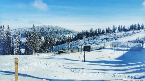 Snow covered land and trees against sky