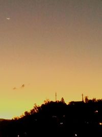 Silhouette of trees at sunset