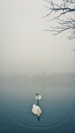 water