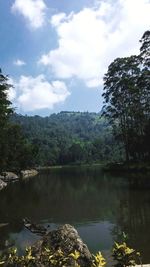 Scenic view of lake in forest against sky