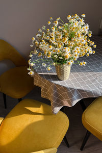Potted plant on table