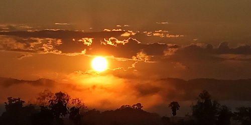 Silhouette trees against sky during sunset
