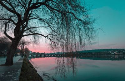 Bare tree by lake against sky during sunset