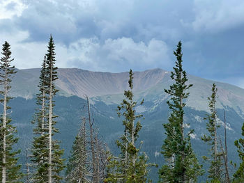 Panoramic view of snowcapped mountains against sky