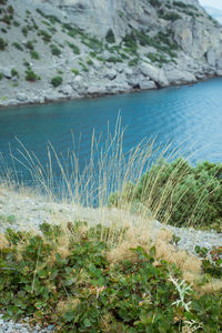 Scenic view of sea shore