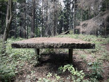 Bench in park