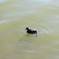 Close-up of water