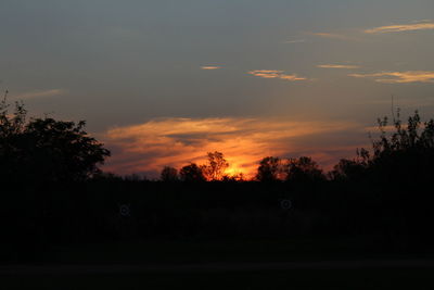 Silhouette trees against sky during sunset