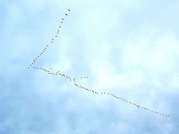 Low angle view of birds flying against sky