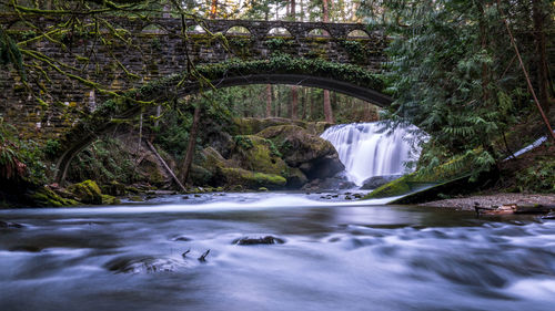 Scenic view of waterfall in forest