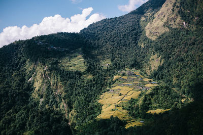 High angle view of rice field against mountains