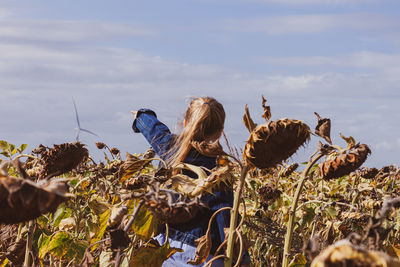 Blond hair child girl in denim jacket walks in sunflowers field wind turbines background. eco energy