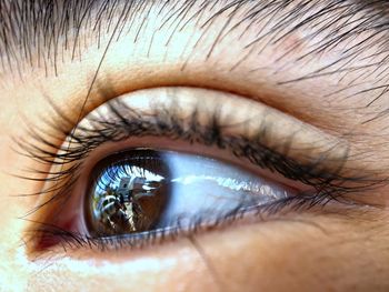 Extreme close-up of human eye