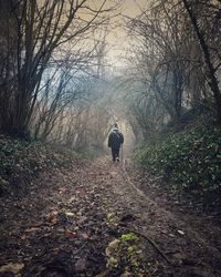 Rear view of man walking on footpath in forest during winter