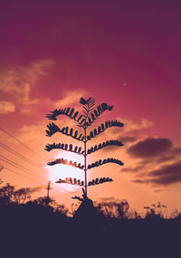 Low angle view of silhouette trees against romantic sky at sunset