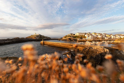 Residential buildings located on coast near rippling sea with long stone barrier in coastal area with vessels and blurred plants in spain