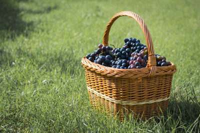 Close-up of red grapes in basket on field