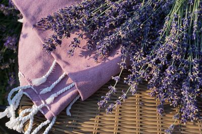 Close-up of lavender amidst plants