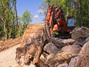 Rock formation amidst trees in forest