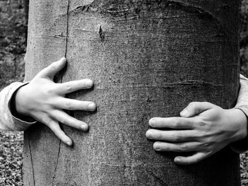 Close-up of hand touching tree trunk