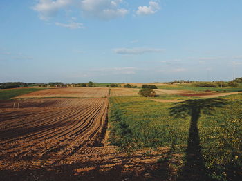 Scenic view of agricultural field against sky