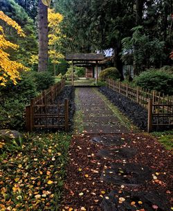 Footpath amidst leaves in park during autumn
