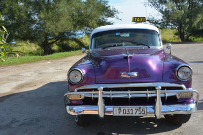 Close-up of vintage car on tree