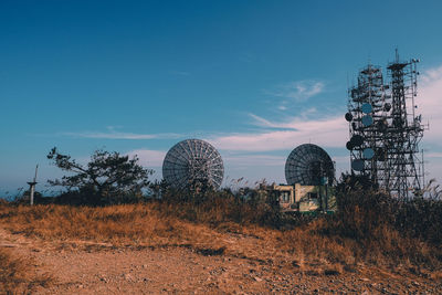 Plants growing on field against sky