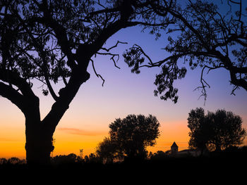 Low angle view of silhouette trees against sky during sunset