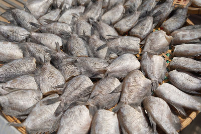 Full frame shot of fish for sale in market