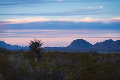 Scenic view of landscape against sky during sunset in big bend national park - texas