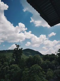 Low angle view of trees against sky