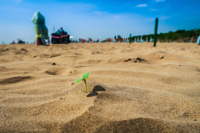 Toy on sand at beach against sky