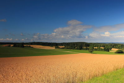 Scenic view of agricultural field against sky