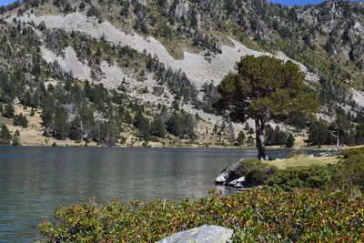 Scenic view of lake against mountain