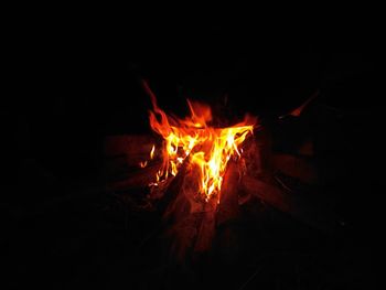 Close-up of bonfire at night