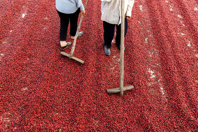 Low section of people standing on red floor